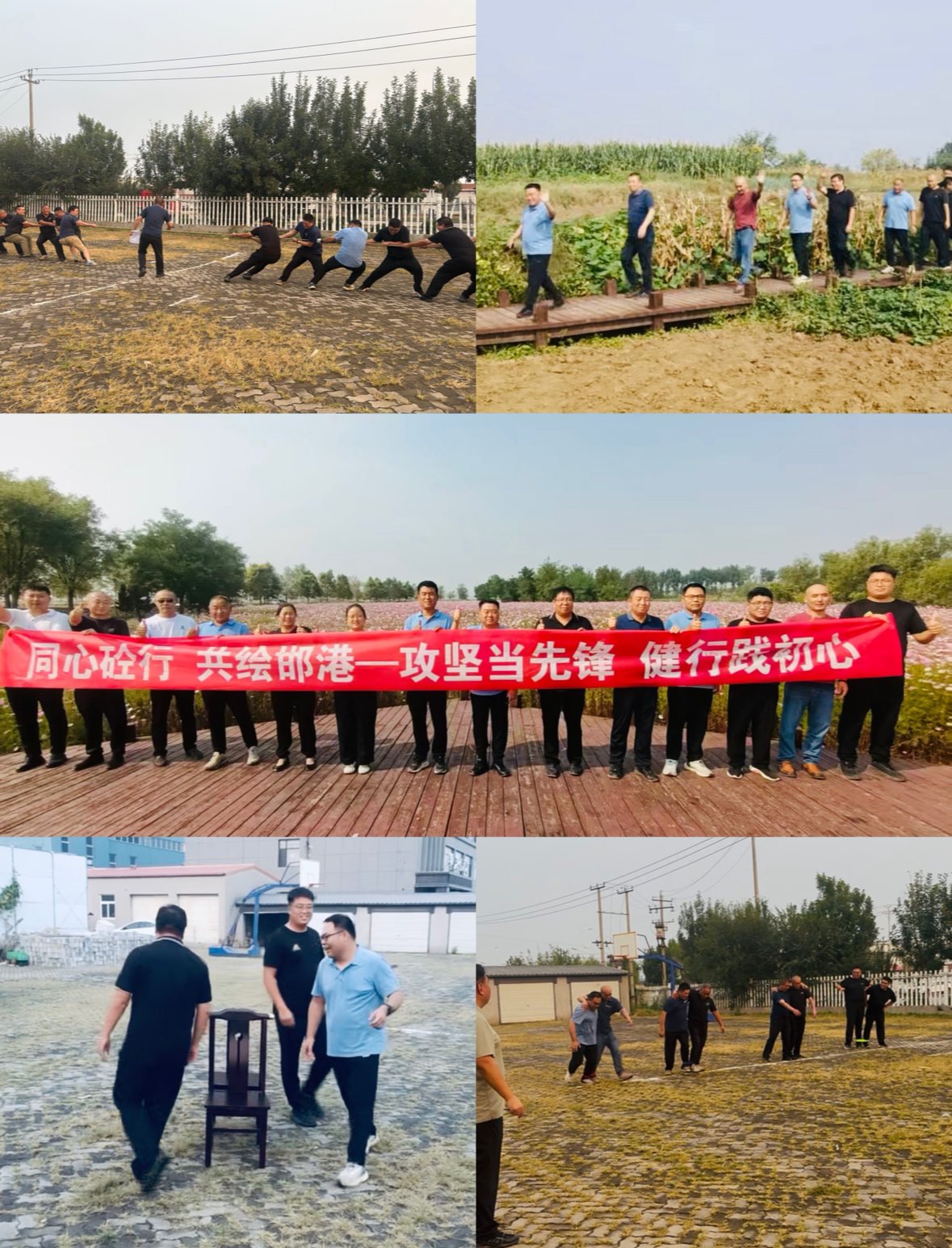 1790415417487783.jpg 活运图片.jpg